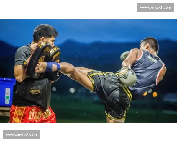 蔡良蝉对决播求巅峰之战视频解析与格斗精神全纪录回顾与技术看点